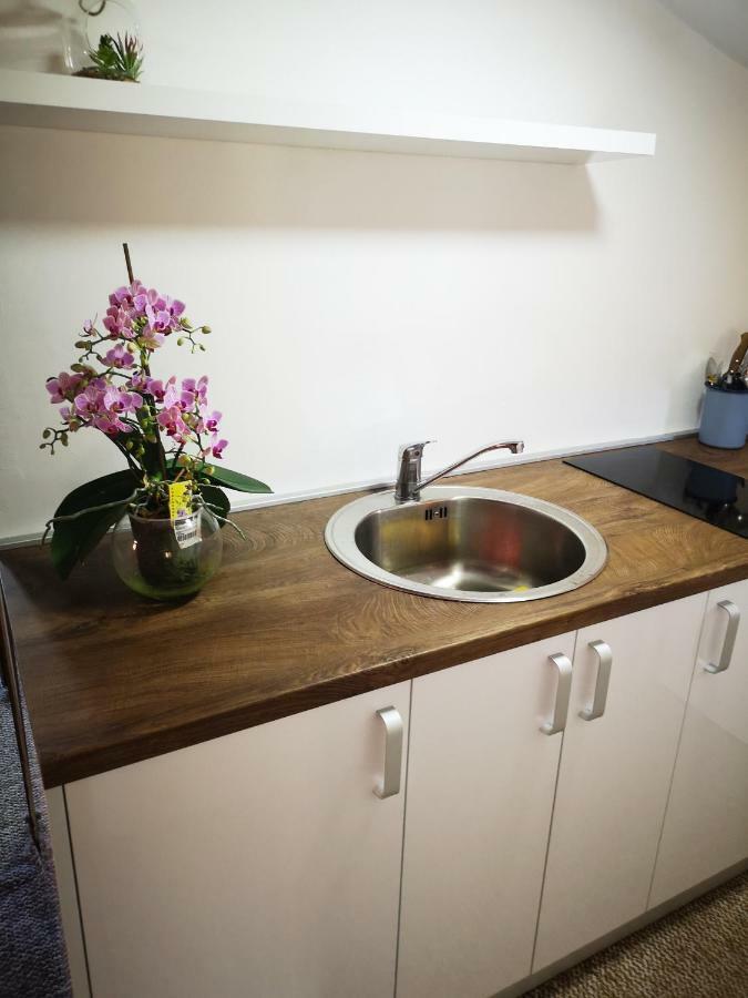 Family Apartment With Garden Sarajevo Cameră foto